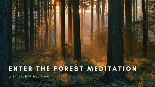 Enter the Forest Meditation