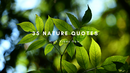 35 Nature Quotes
