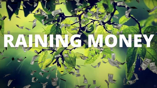Raining Money Subliminal Sleep Track with Activating Tones (As seen on YouTube)